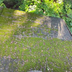 Between Cleaning - Revitalize Your Roof - Professional Cleaning for Lasting Protection