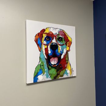 Timonium Animal Hospital - Veterinarians Near Me - Timonium, Maryland Timonium Animal Hospital - Veterinarians Near Me - Timonium, Maryland