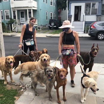 Paws To Consider - Dogs - Dog Walkers Near Me Paws To Consider - Dogs - Dog Walkers Near Me