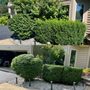 Photo of Monaco Landscaping