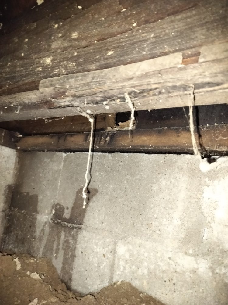 Slide of M&M Home Medics