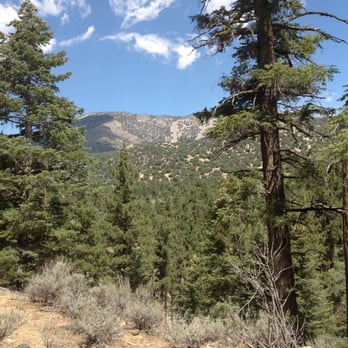 Heart Bar Campground - View behind Campsite 14 - Campgrounds Near Me - San Bernardino, California Heart Bar Campground - View behind Campsite 14 - Campgrounds Near Me - San Bernardino, California