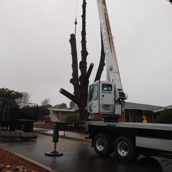 Jts - Crane work is always fun - Tree Services Near Me - Nipomo, California Jts - Crane work is always fun - Tree Services Near Me - Nipomo, California