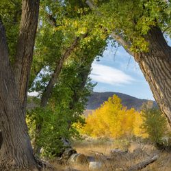 Santa Maria Ranch - Santa Maria Ranch Park in Dayton, Nevada.