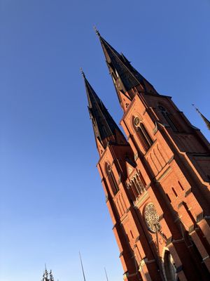 Uppsala Cathedral by null