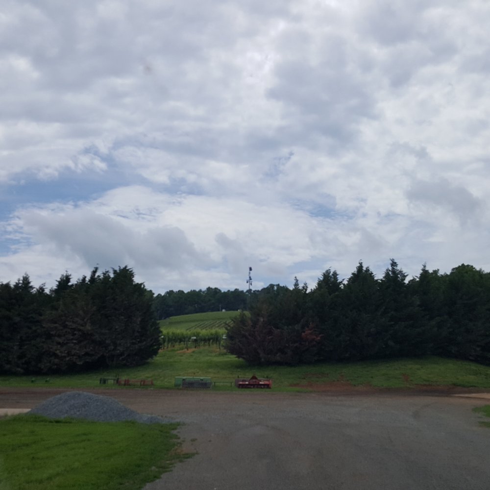 Honah Lee Vineyard - View up the hill, to the top of their vineyard - Venues & Event Spaces Near Me - Gordonsville, Virginia Honah Lee Vineyard - View up the hill, to the top of their vineyard - Venues & Event Spaces Near Me - Gordonsville, Virginia