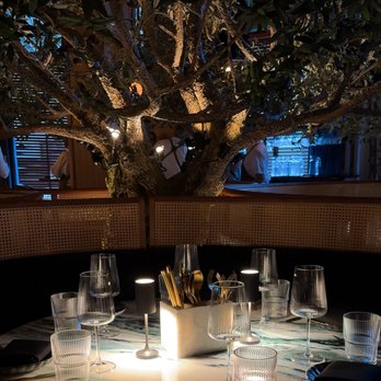 V Modern Italian - Italian Near Me - Charleston, South Carolina V Modern Italian - Italian Near Me - Charleston, South Carolina