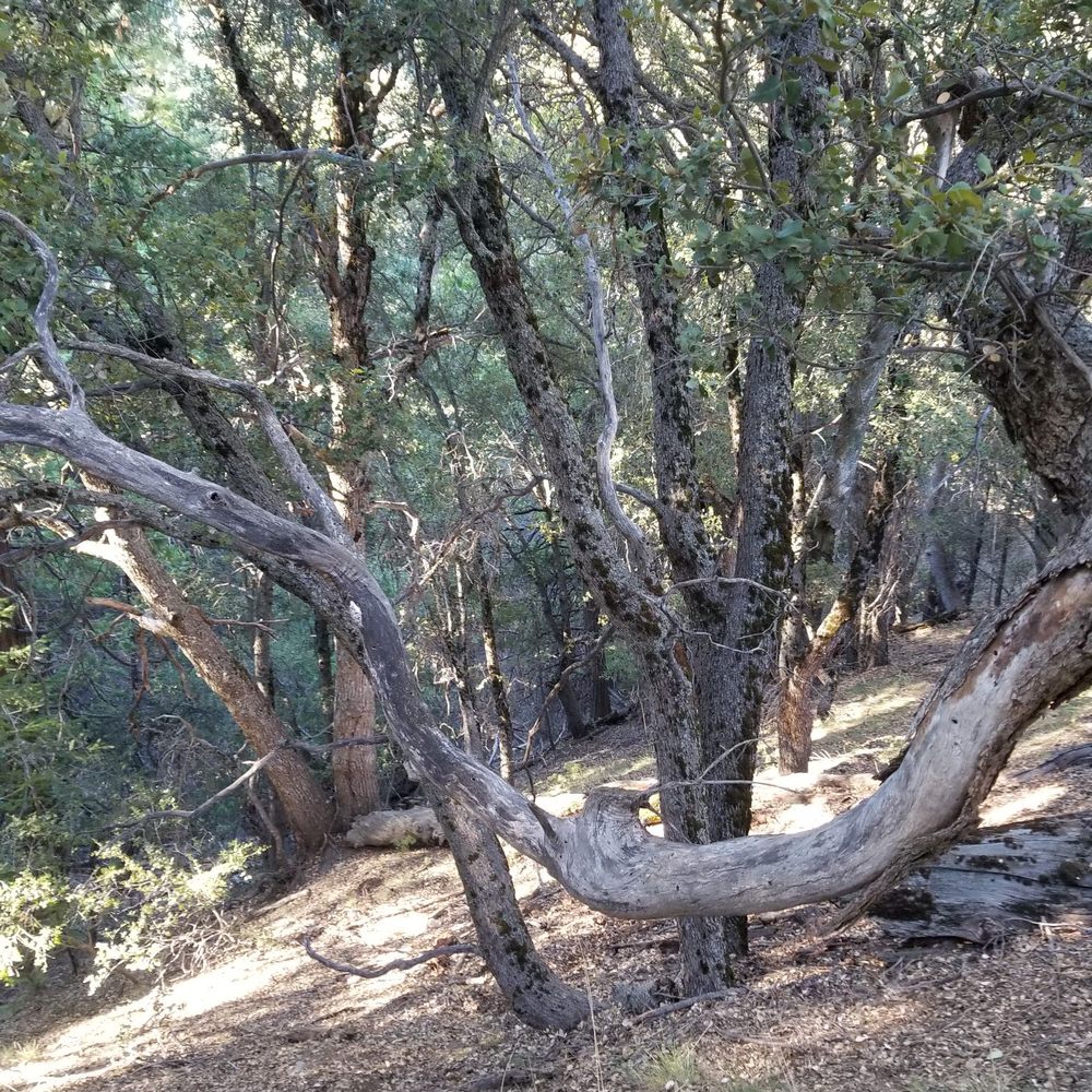 Thomas Coyne Survival Schools - Day one! - Specialty Schools Near Me - Irvine, California