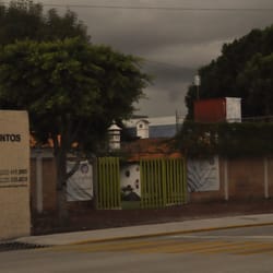 El Árbol de Allegra