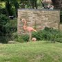 Photo of Louisiana Purchase Gardens & Zoo