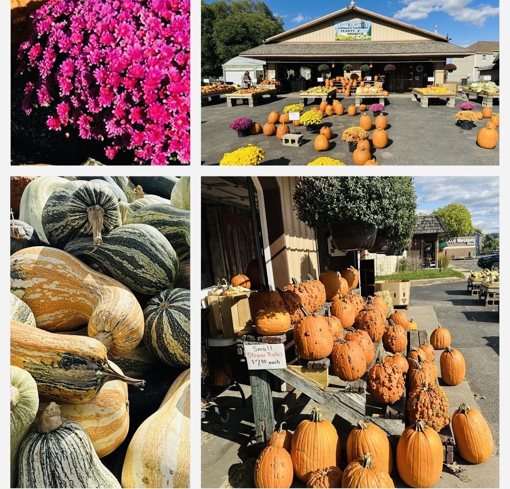 BRONK’S GARDENS Updated August 2024 744 E Sarnia St, Winona