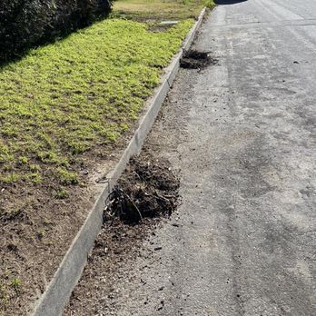 Kevin's Tree Service - Trimmings - Tree Services Near Me - Bloomington, California