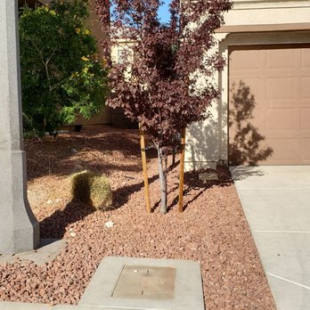 Delfino Maintenance & Landscaping - My yard looked like an over grown wild jungle and now it is absolutely beautiful again. Thank you Delfino! - Artificial Turf Near Me Delfino Maintenance & Landscaping - My yard looked like an over grown wild jungle and now it is absolutely beautiful again. Thank you Delfino! - Artificial Turf Near Me