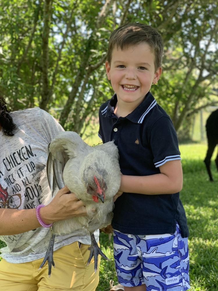 MAHAFFEY FARMS Updated September 2024 13 Photos 4851 Hwy 80