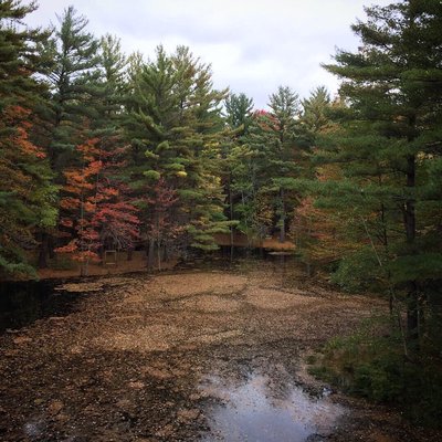 Dow Gardens and the Whiting Forest of Dow Gardens by null