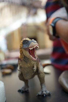 Fernbank Museum | 3D Theater | Forest by null