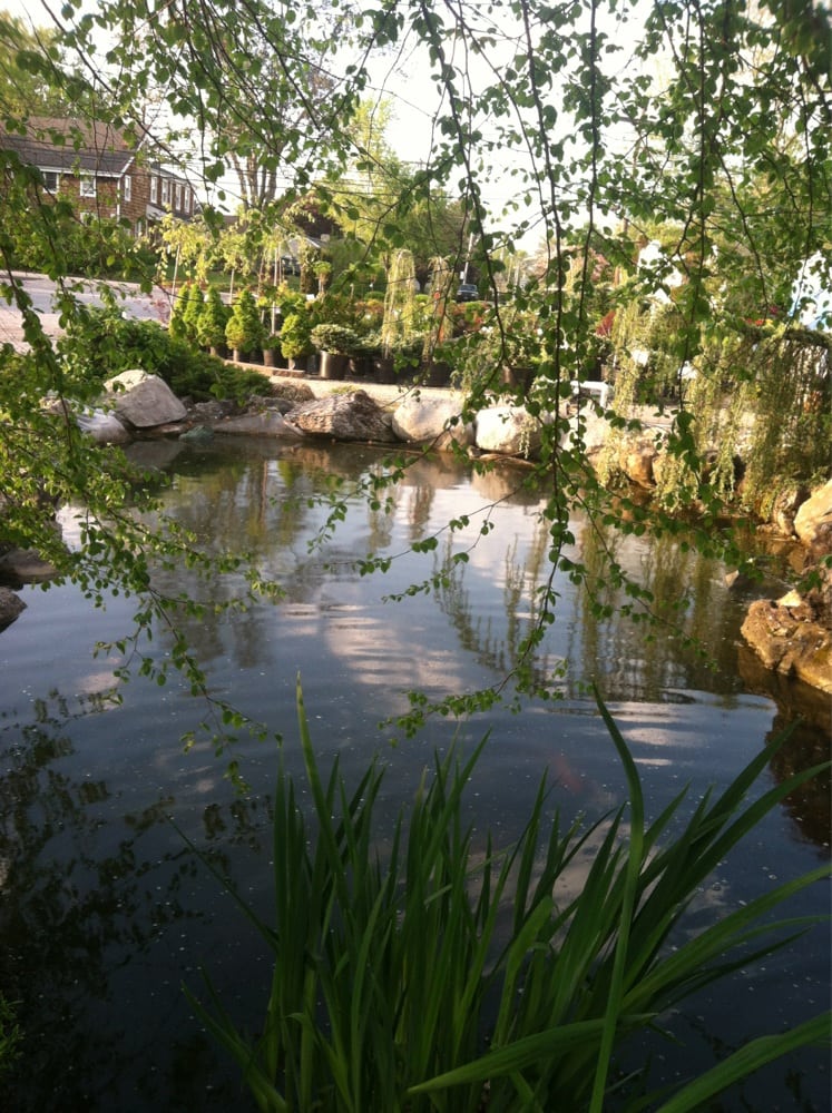 WATERBROOK GARDEN CENTER Updated October 2024 33 Photos 1215 Sea