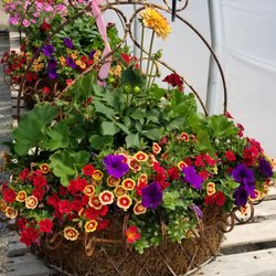 Secret Garden & Greenhouse