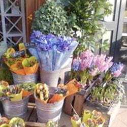 Delia's Florist
