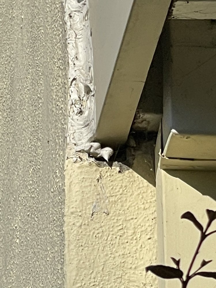 Slide of Caruzo's Roofing Contractors