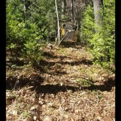 J Noble Tree Service