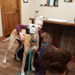 A Rustic Retreat Pet Lodge - Ginger and Rusty love Brynn and everyone at A Rustic Retreat Pet Lodge!