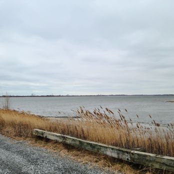 Shirley Chisholm State Park - Parks Near Me - Brooklyn, New York Shirley Chisholm State Park - Parks Near Me - Brooklyn, New York