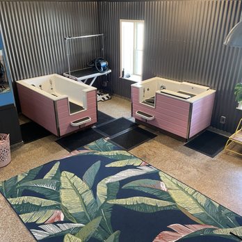 Punky Pets Grooming - Pet Groomers Near Me - Sheboygan, Wisconsin Punky Pets Grooming - Pet Groomers Near Me - Sheboygan, Wisconsin