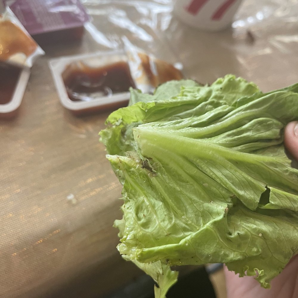 Chick-fil-A - Grill chicken sandwich.Fly smashed into the lettuce - Fast Food Near Me - Cheyenne, Wyoming Chick-fil-A - Grill chicken sandwich.Fly smashed into the lettuce - Fast Food Near Me - Cheyenne, Wyoming