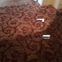 Photo of Lewie's Carpet Cleaning