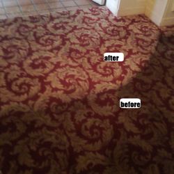 Lewie's Carpet Cleaning