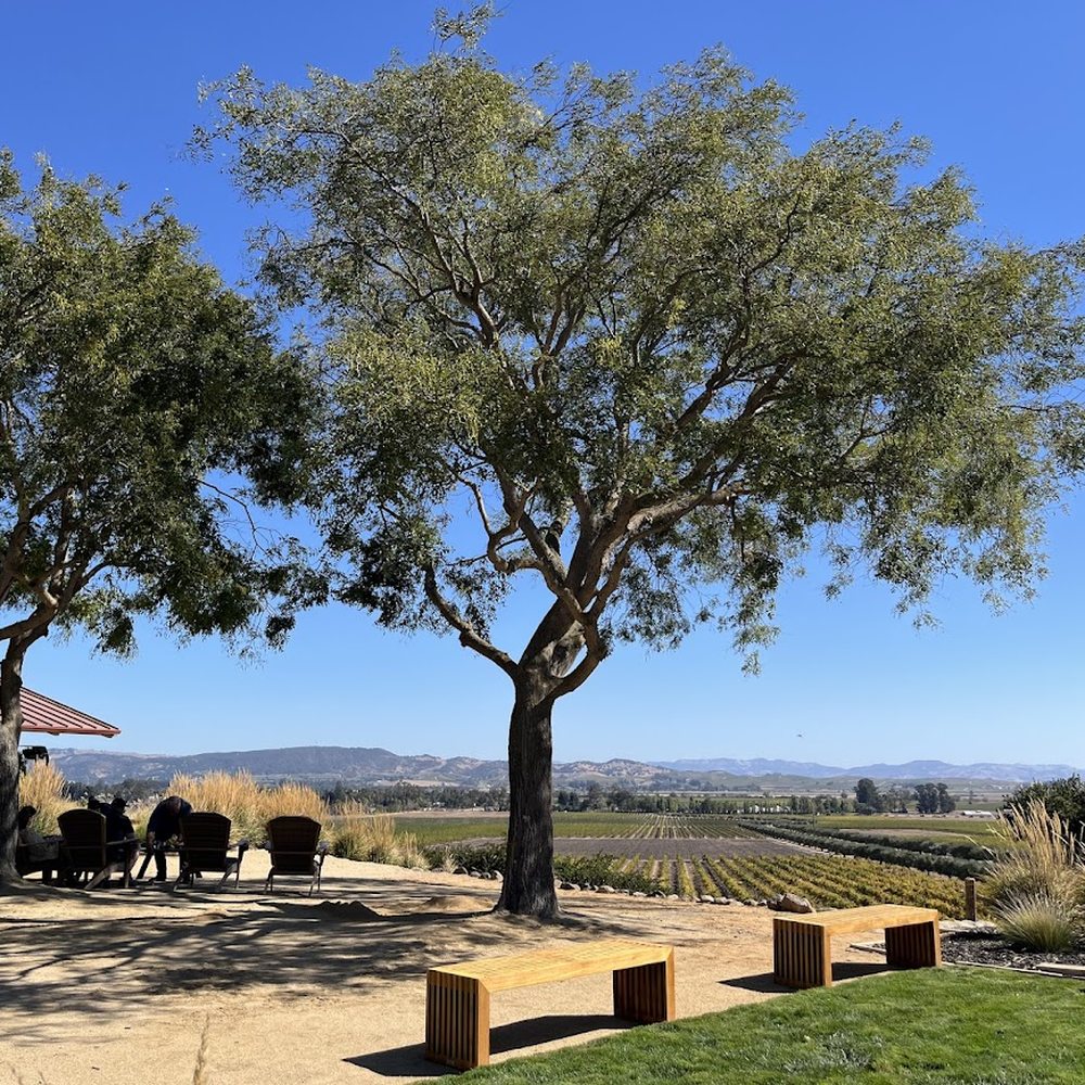 Gloria Ferrer Winery - outdoor area - beautiful views - Wineries Near Me - Sonoma, California Gloria Ferrer Winery - outdoor area - beautiful views - Wineries Near Me - Sonoma, California