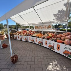 Trader Joe's