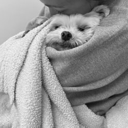 Santa Clarita Animal Urgent Care & Wellness Center