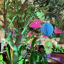 Casa Mexicana Bar & Grill