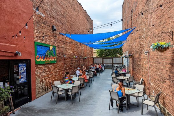 Calamari's Squid Row by null