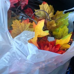 Dollar Tree - Fall has thrown up at DT