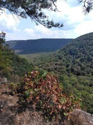Hawksbill Crag/Whitaker Point by null