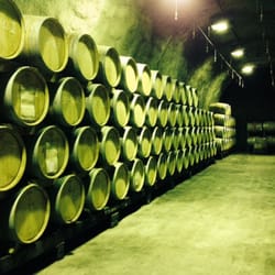 Salwey Weingut - Der Weinkeller