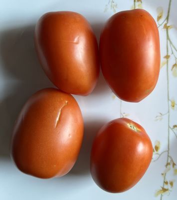 Sprouts Farmers Market by null