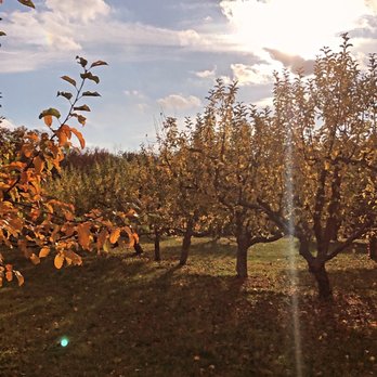 Brooklyn Cider House - Cideries Near Me - New Paltz, New York