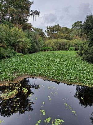 Kirby Storter Roadside Park by null