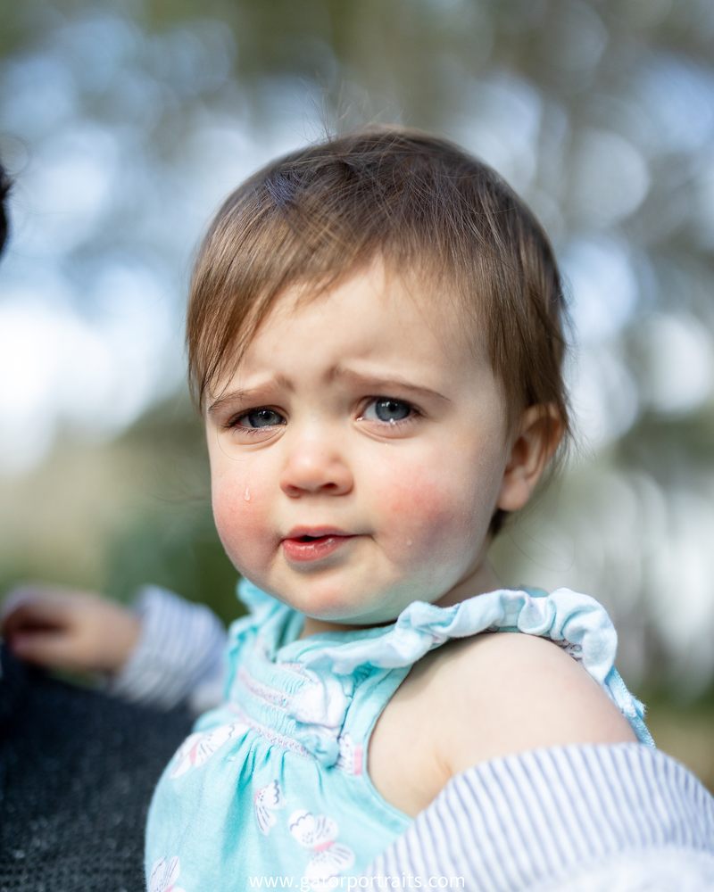 gator-portraits-request-a-quote-11-photos-gainesville-fl-yelp