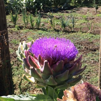 Park Winters - Bed & Breakfast Near Me - Winters, California Park Winters - Bed & Breakfast Near Me - Winters, California