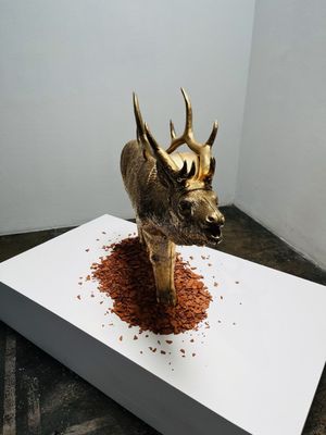 Artpace San Antonio by null