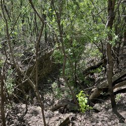 Quarry Hill Nature Center