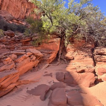 Waterhole Canyon Experience - steep, smooth, and beautifully textured walls. - Tours Near Me - Page, Arizona Waterhole Canyon Experience - steep, smooth, and beautifully textured walls. - Tours Near Me - Page, Arizona