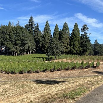 The Allison Inn and Spa - On one walking path - Hotels Near Me - Newberg, Oregon