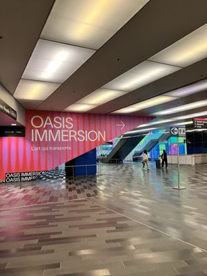 OASIS immersion by null