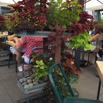 Terrain Cafe - Beautiful setting - New American Near Me - Westport, Connecticut Terrain Cafe - Beautiful setting - New American Near Me - Westport, Connecticut